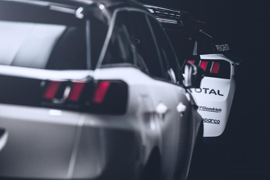 Детали экстерьера Peugeot 3008 DKR 2016 года  (фото 20 из 25)